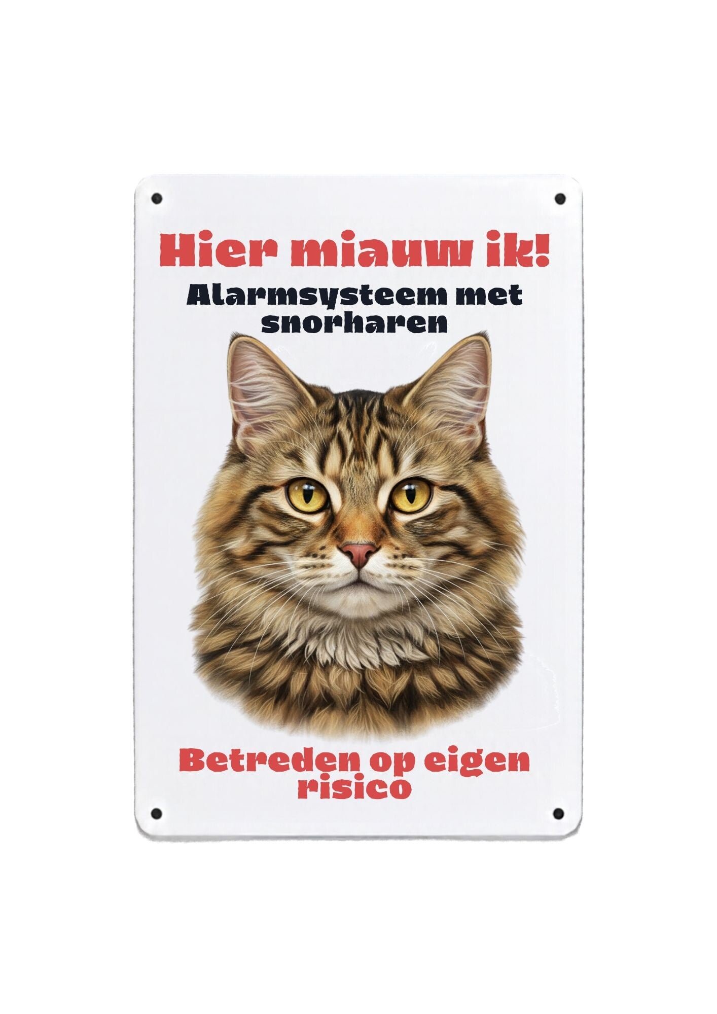 Aluminium Kat langhaar - Hier miauw ik - 20x30 cm
