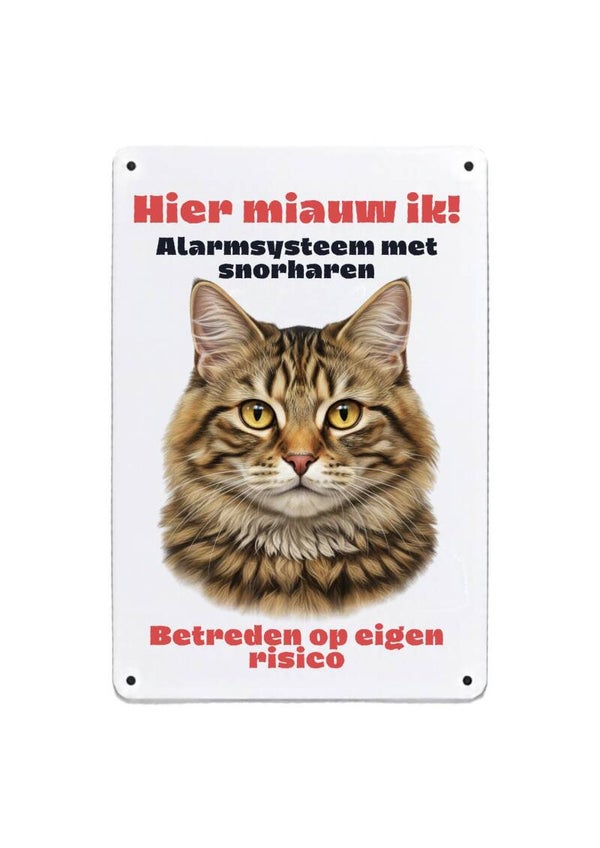 Aluminium Kat langhaar - Hier miauw ik - 20x30 cm