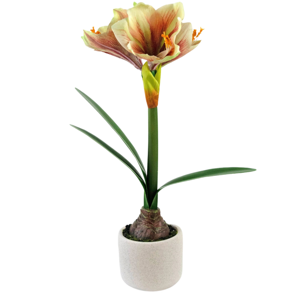 Kunstbloem Amaryllis real touch - Rood/geel - 48 cm