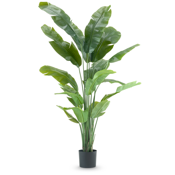 Kunstplant Strelitzia Nicolai deluxe - 195 cm