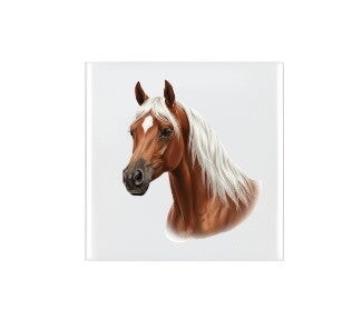 Keramische tegel Paard 1 - 10x10 cm