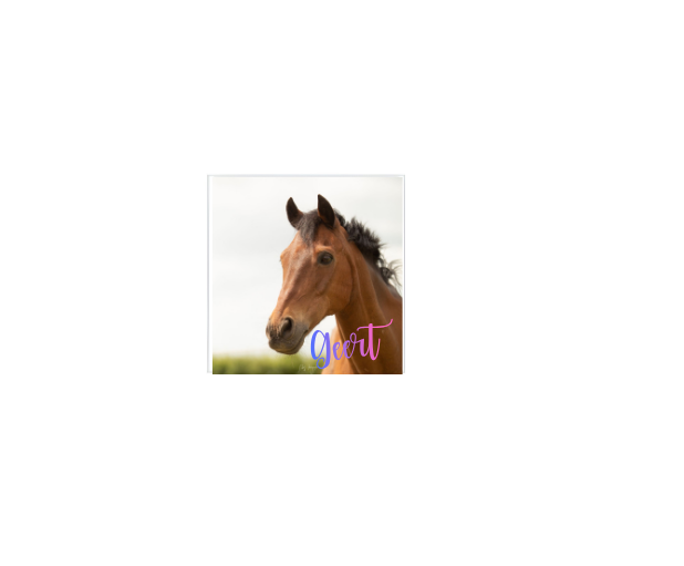 Keramische tegel met eigen logo, foto of afbeelding - 10x10 cm - mat