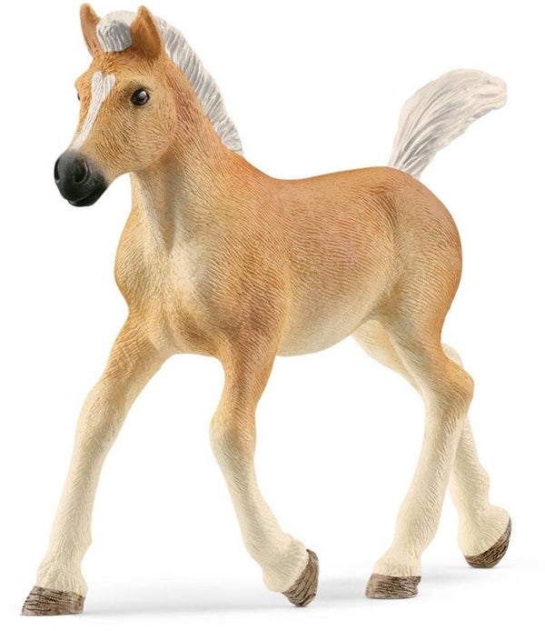 Schleich Horse Club - Haflinger Veulen - 13951