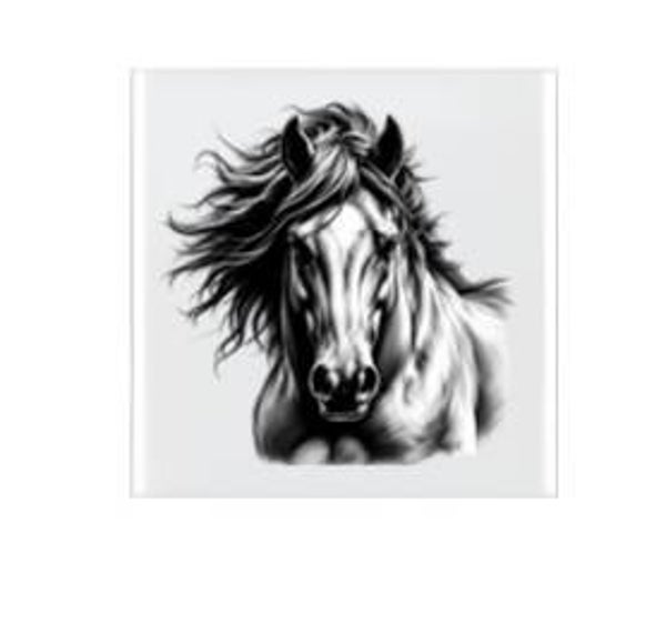 Keramische tegel Paard zwart/wit - 10x10 cm