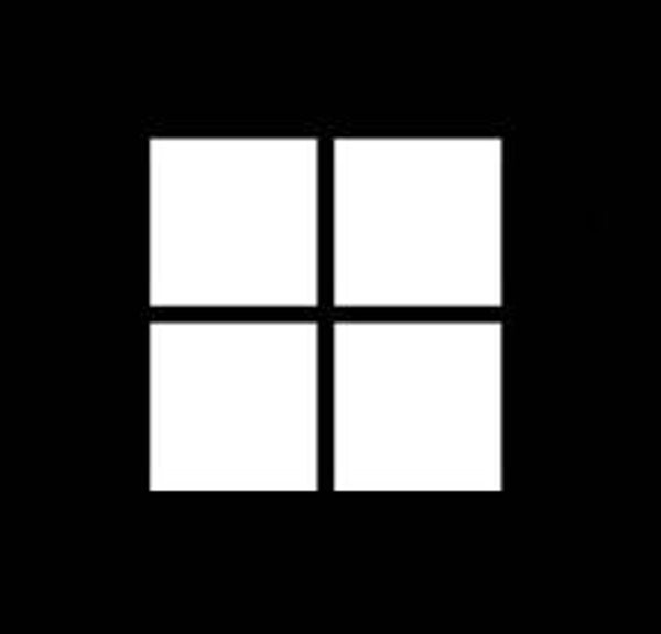 Windows Installation
