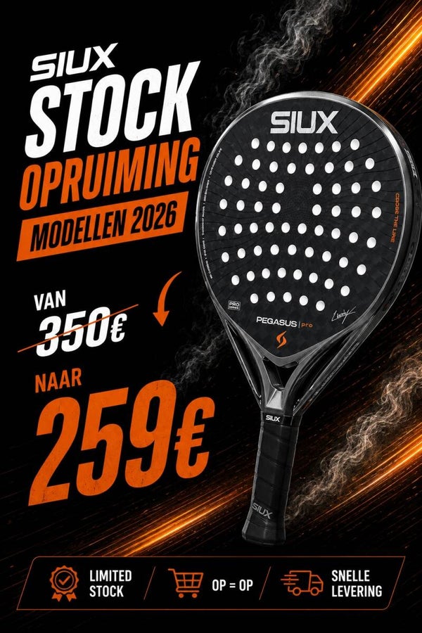 Siux Pegasus Storm Grey Pro 2026