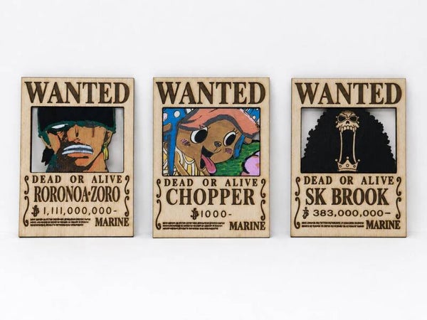 Targhette "COLLABORAZIONE ONE PIECE"
