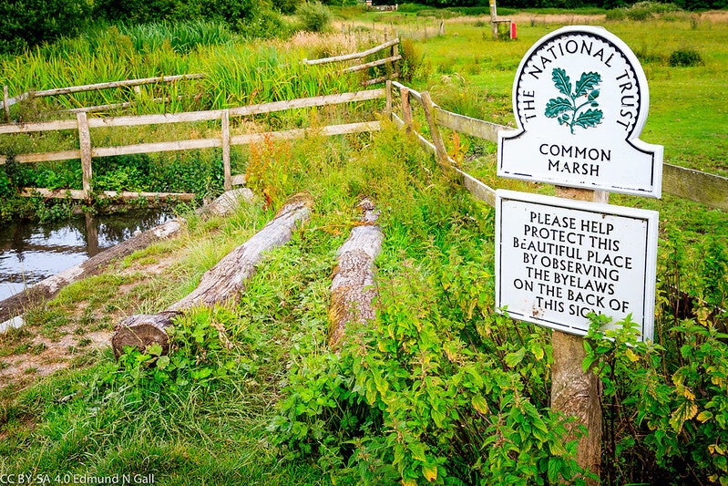 National Trust Common Marsh