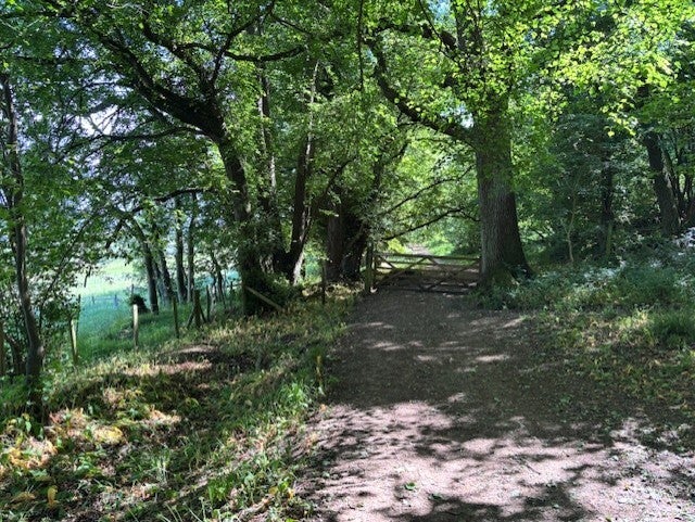 Kings Wood, Cross