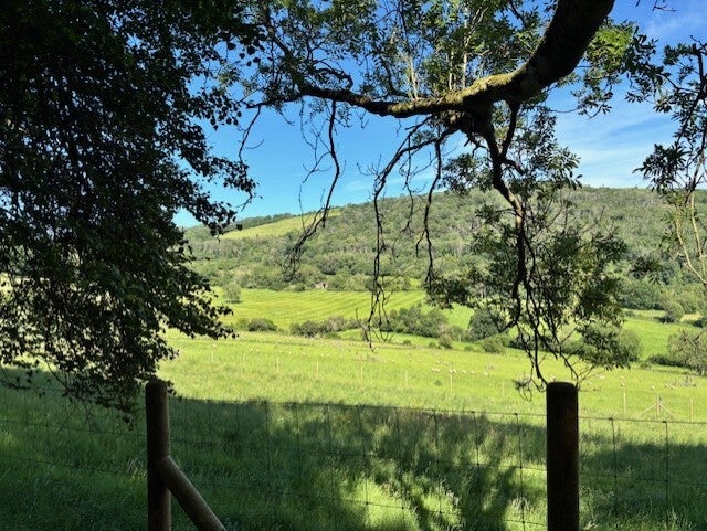 Shute Shelve Hill