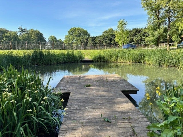 Pond at The Jack Russell Inn