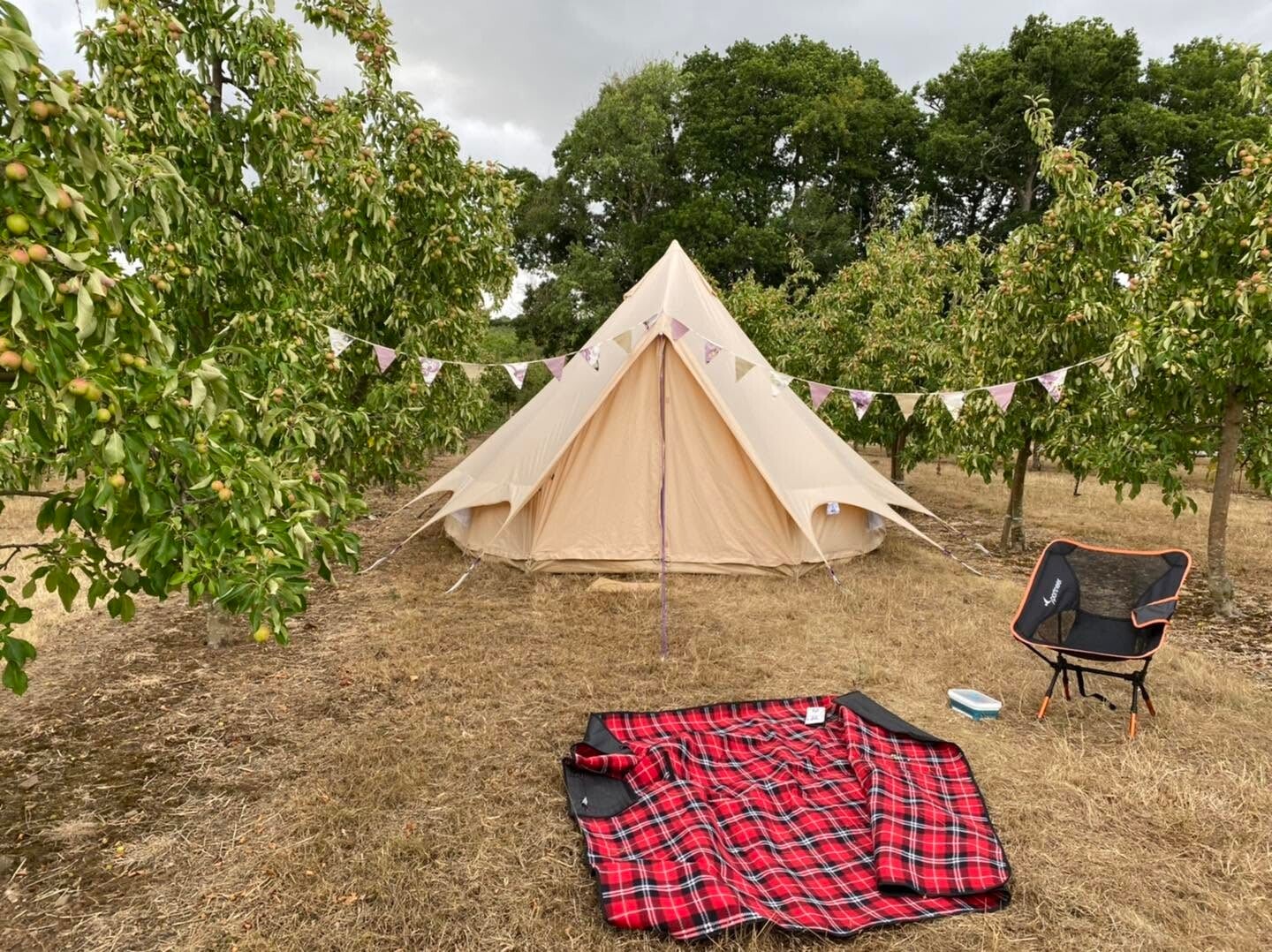 Camping at Orchard Lodge-Stockleigh English