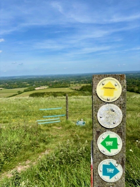 Wayfarer's Way on Wessex Downs