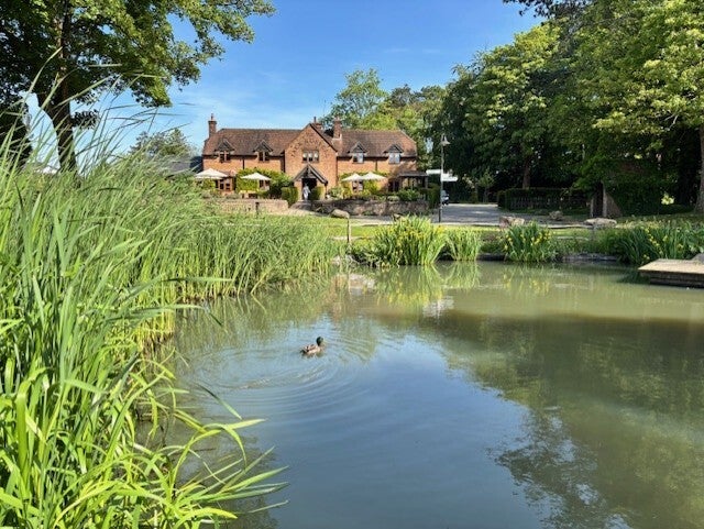 The Jack Russell Inn-Faccombe Pub-Hampshire