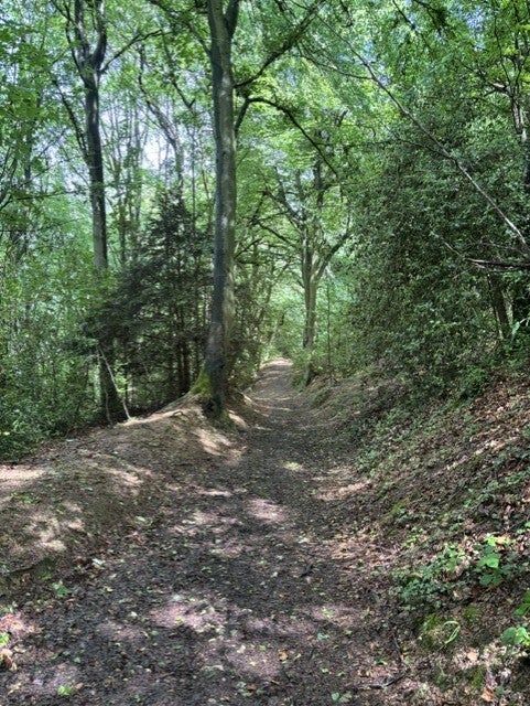 Buckholt Wood & Cotswolds Way