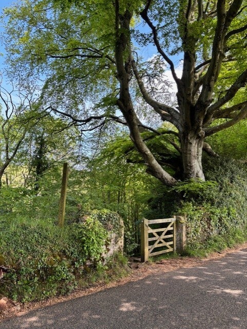Butcombe Way in Rowberrow near The Swan