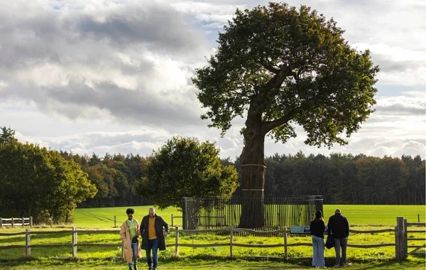 The original royal oak tree, Boscobel House