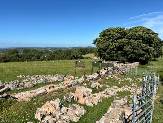 National Trust dry stone walling at Hill Farm, Cross Plain
