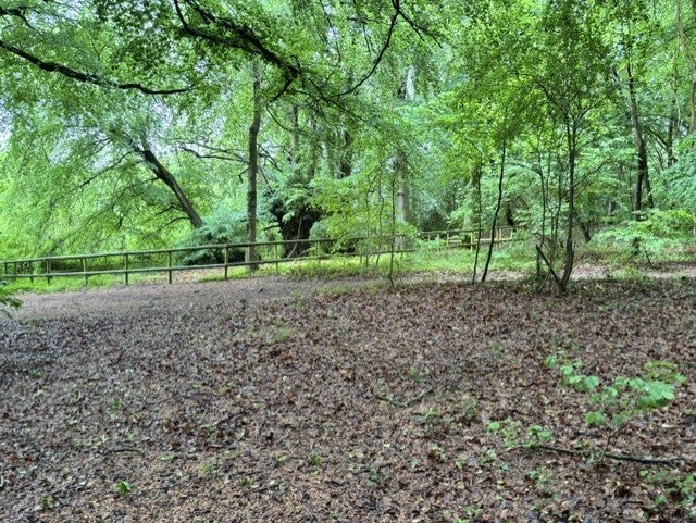 Buckholt Wood Car Park