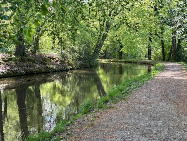 Monmoutshire & Brecon Canal near Goytre Wharf