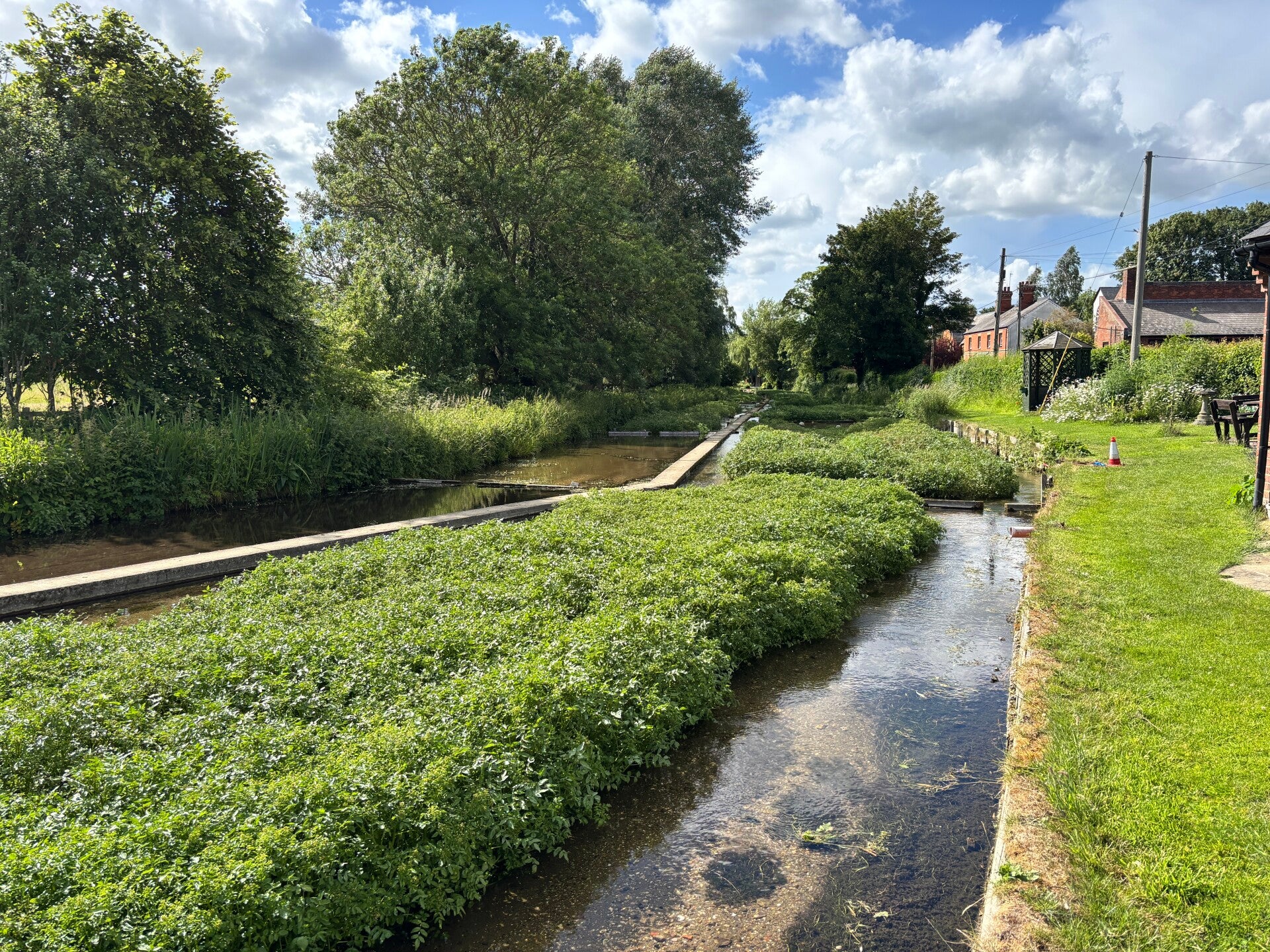 Watercress Beds, Ewelme
