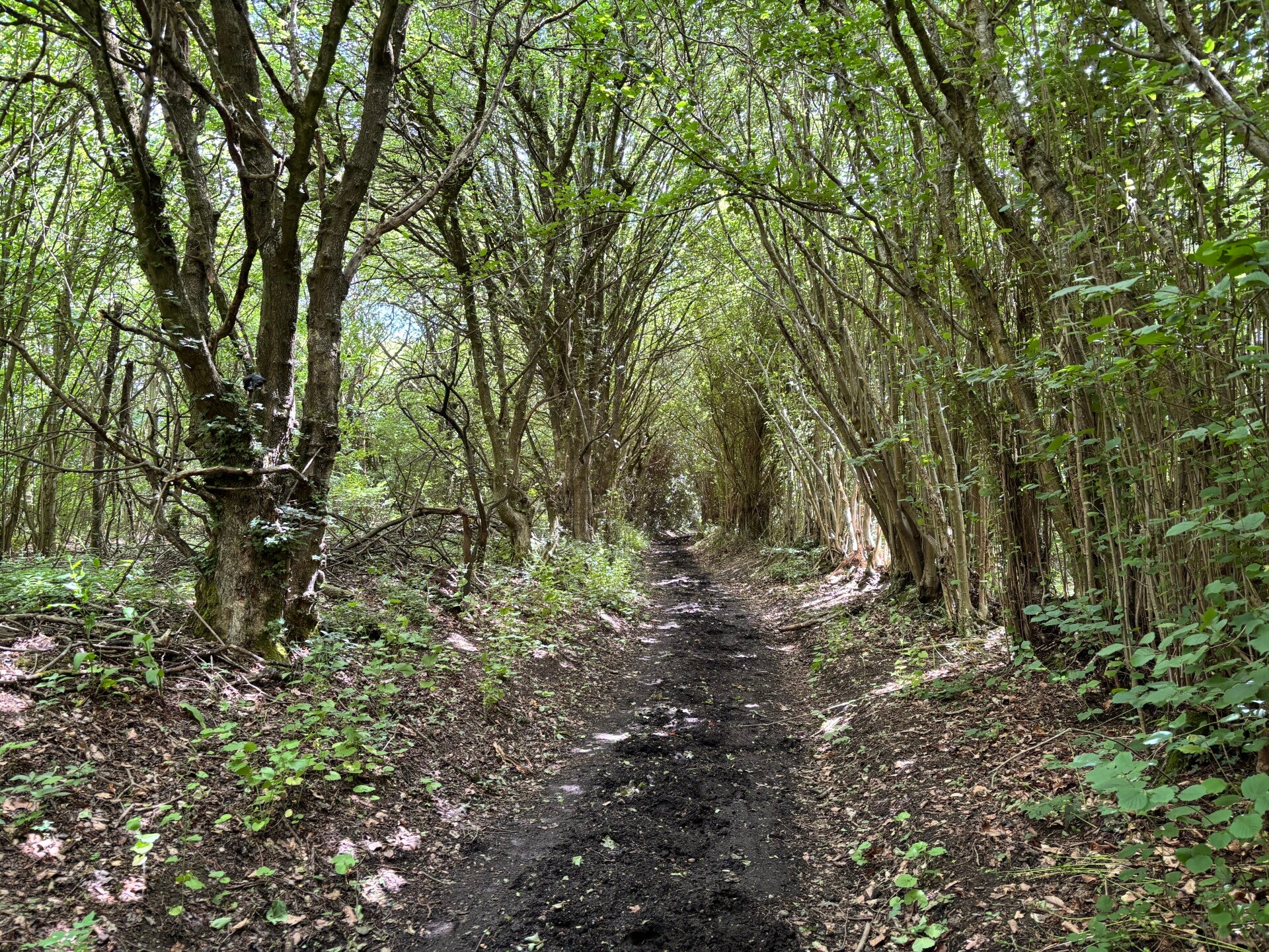 Dog Lane, Rotherfield Peppard