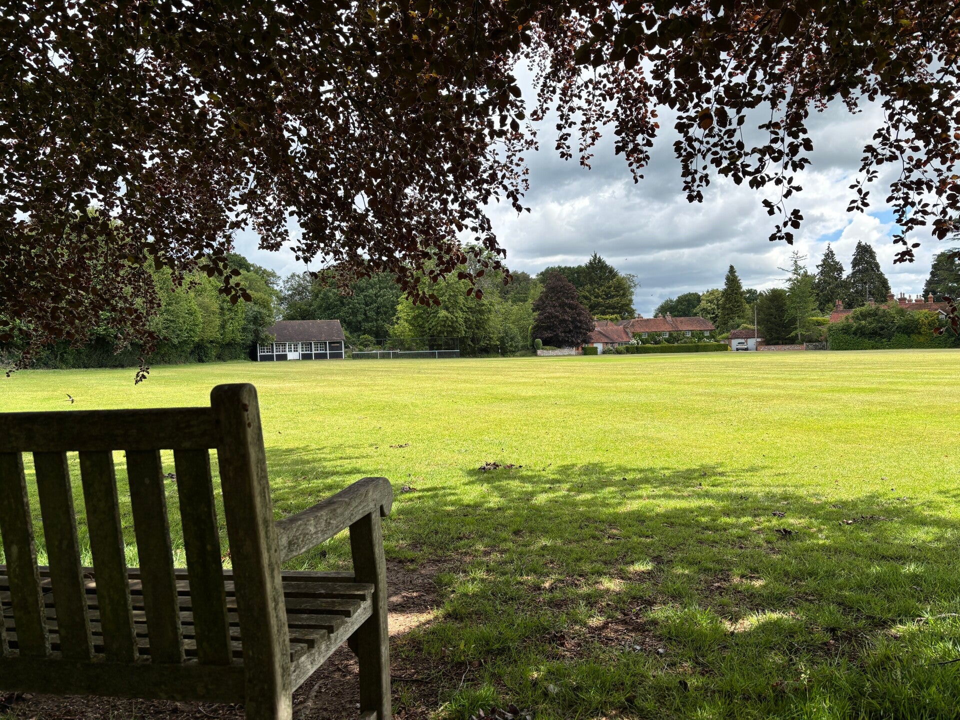 Greys Green Cricket Pitch