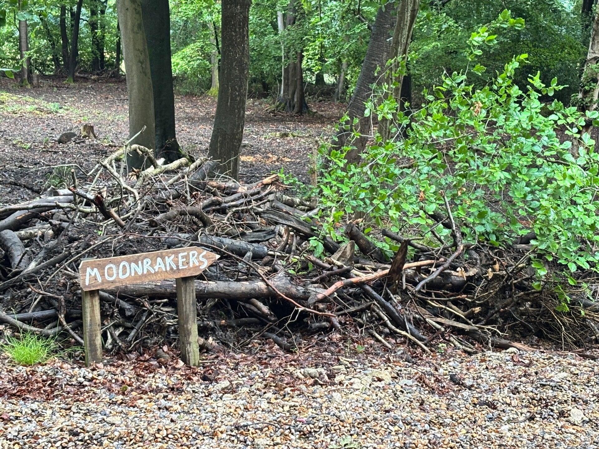 Moonraker-house in Busgrove Wood