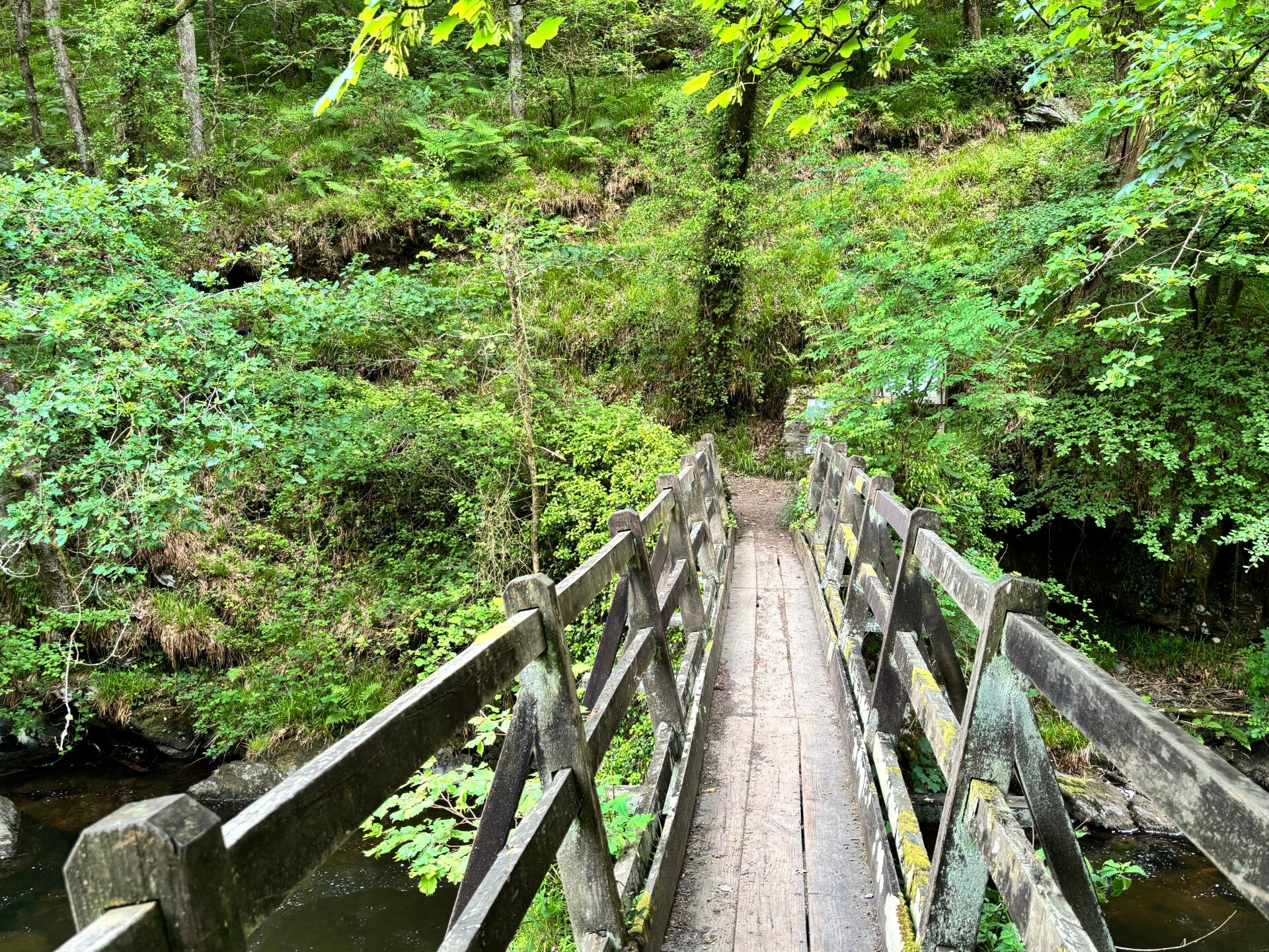 Footbridge near The Rockford Inn
