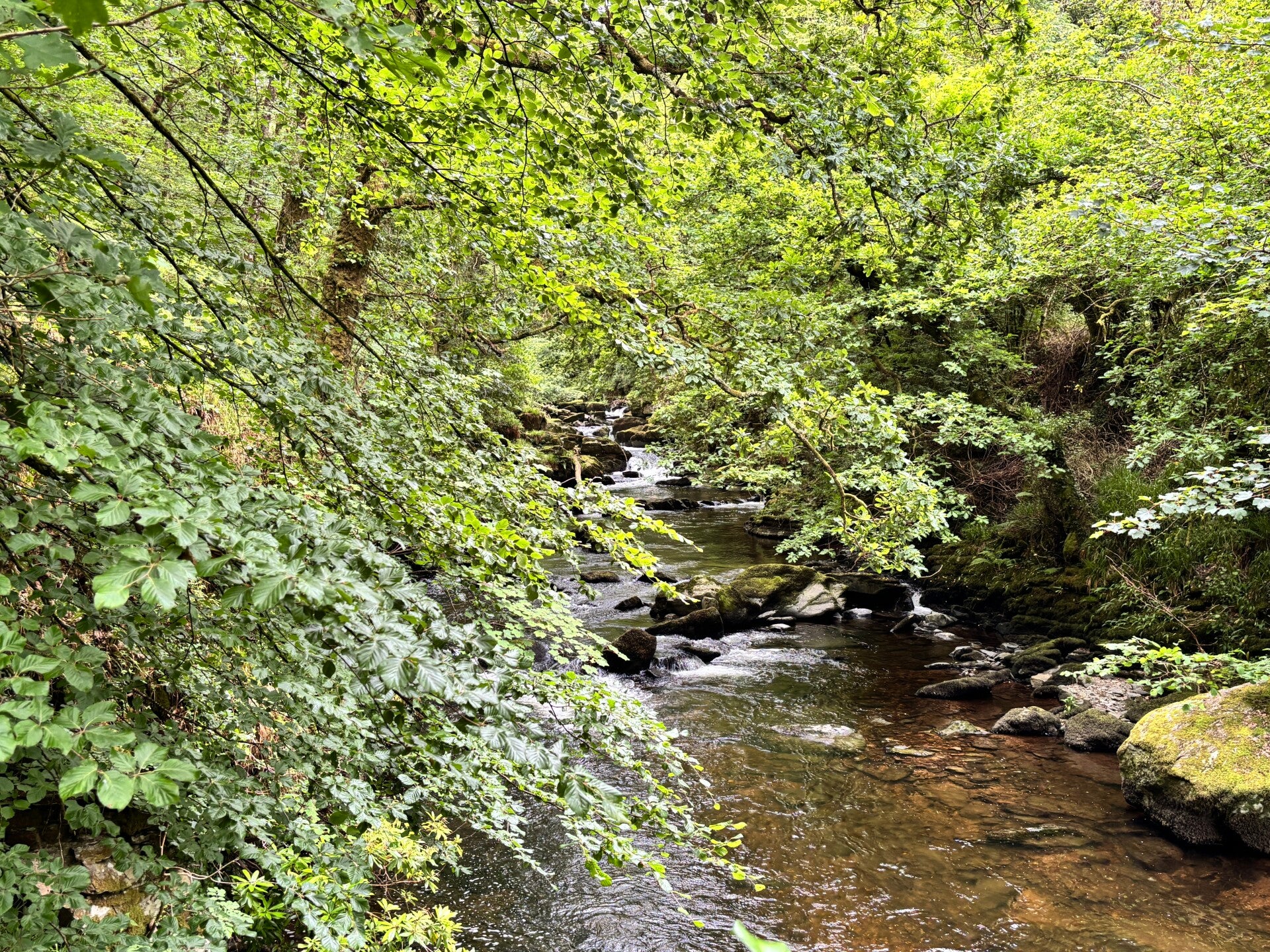 The East Lyn River at Rockford