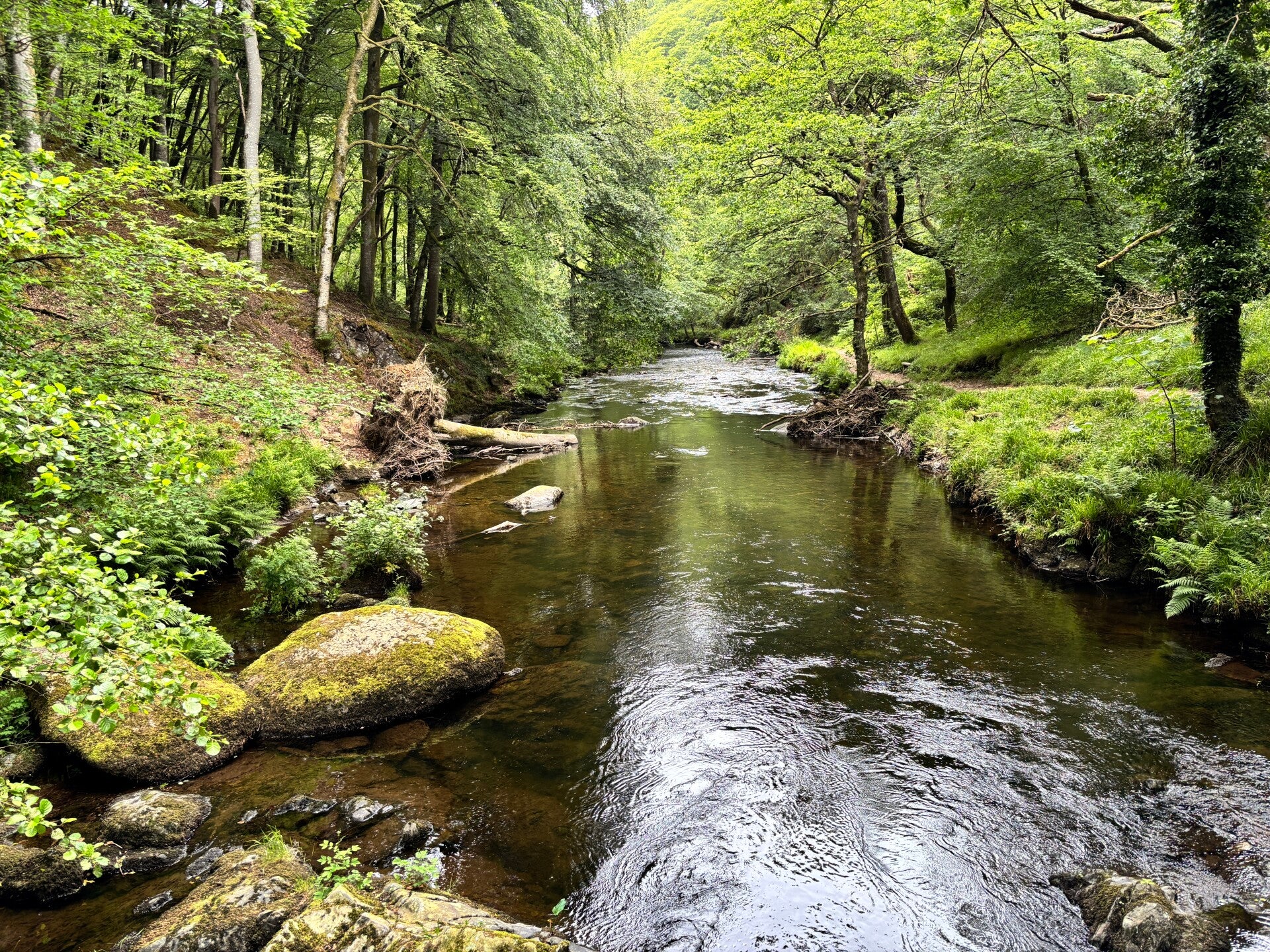 Views of the East Lyn River