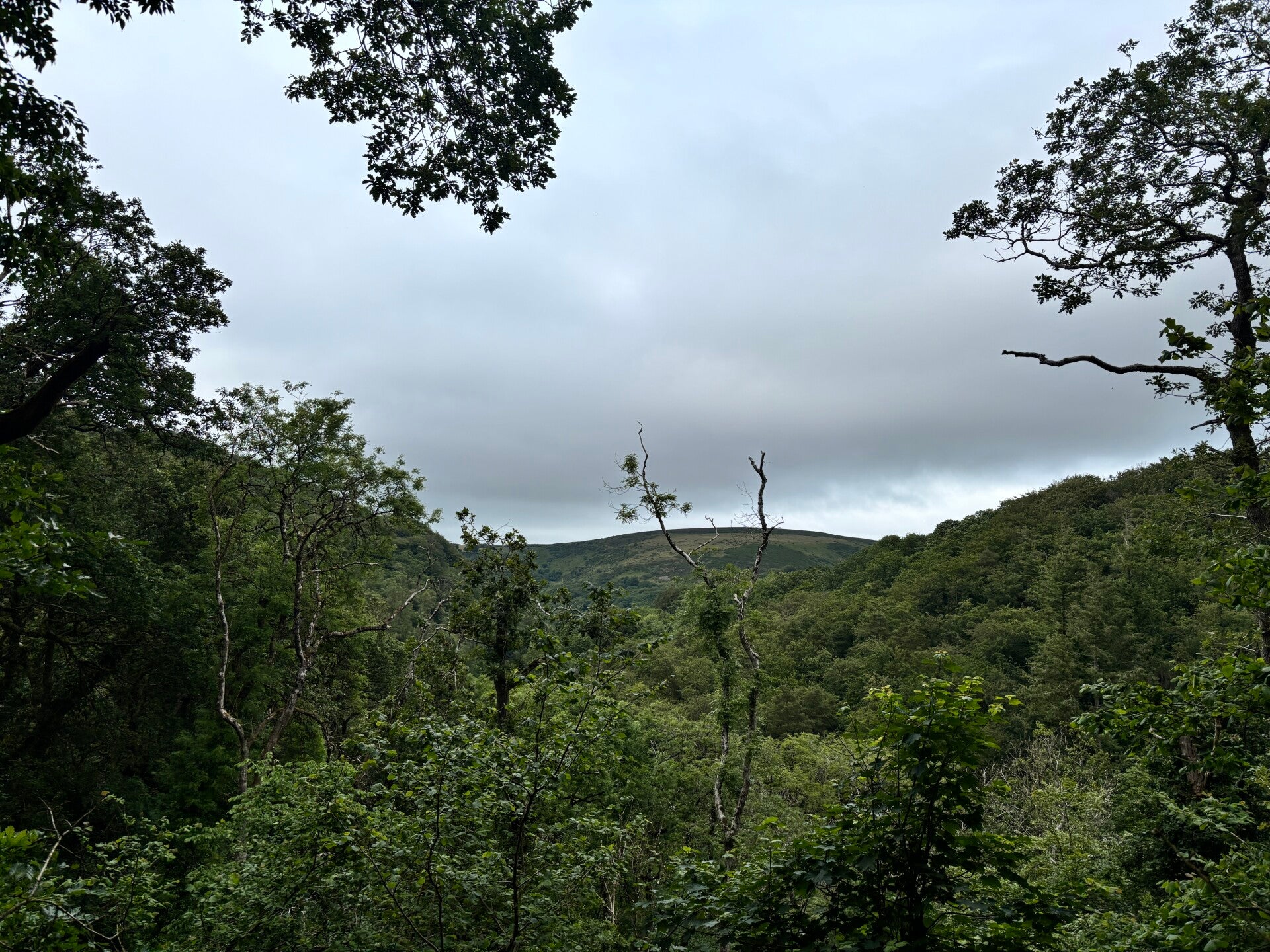 Views towards Countisbury