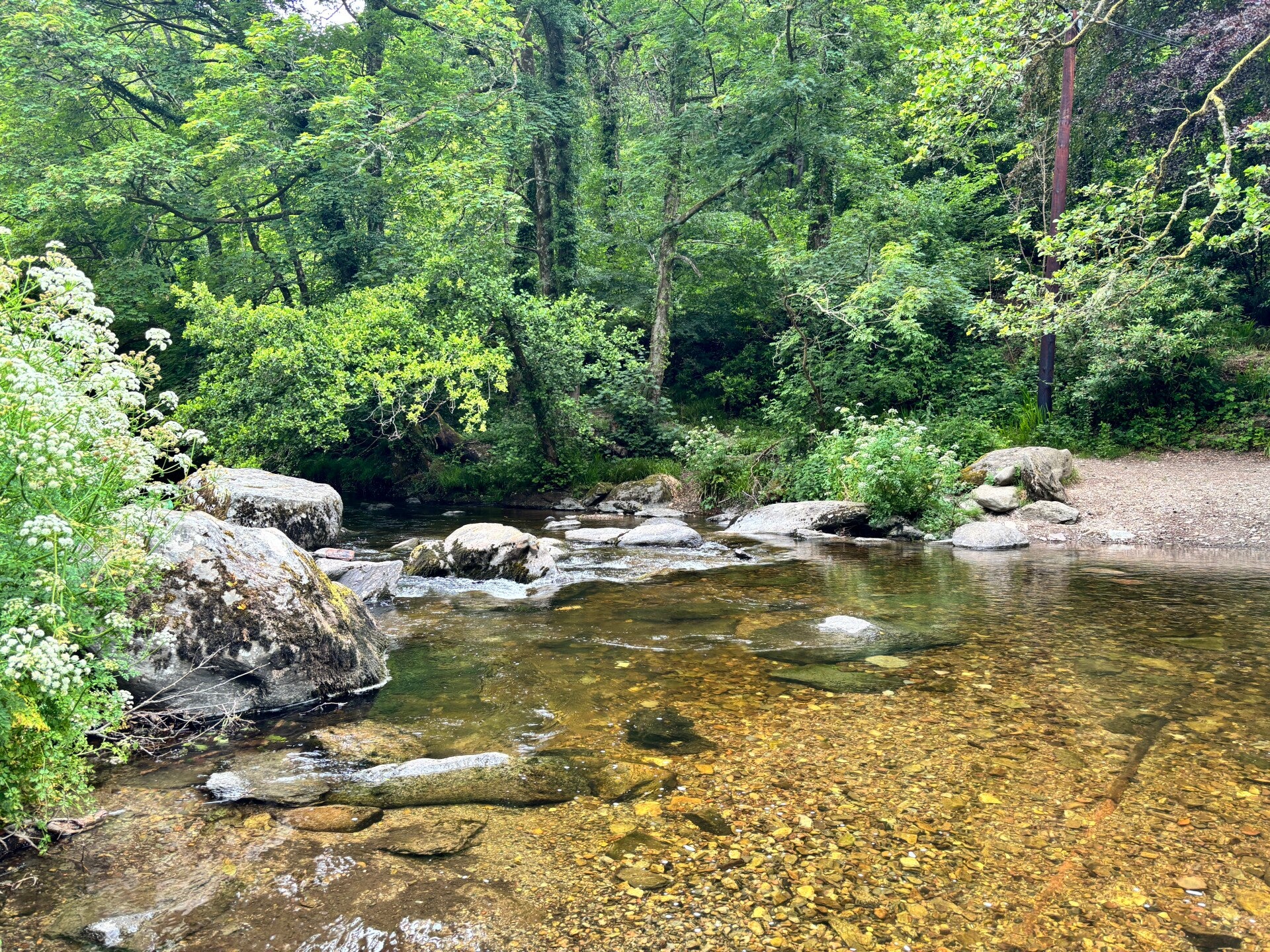 The East Lyn at Rockford