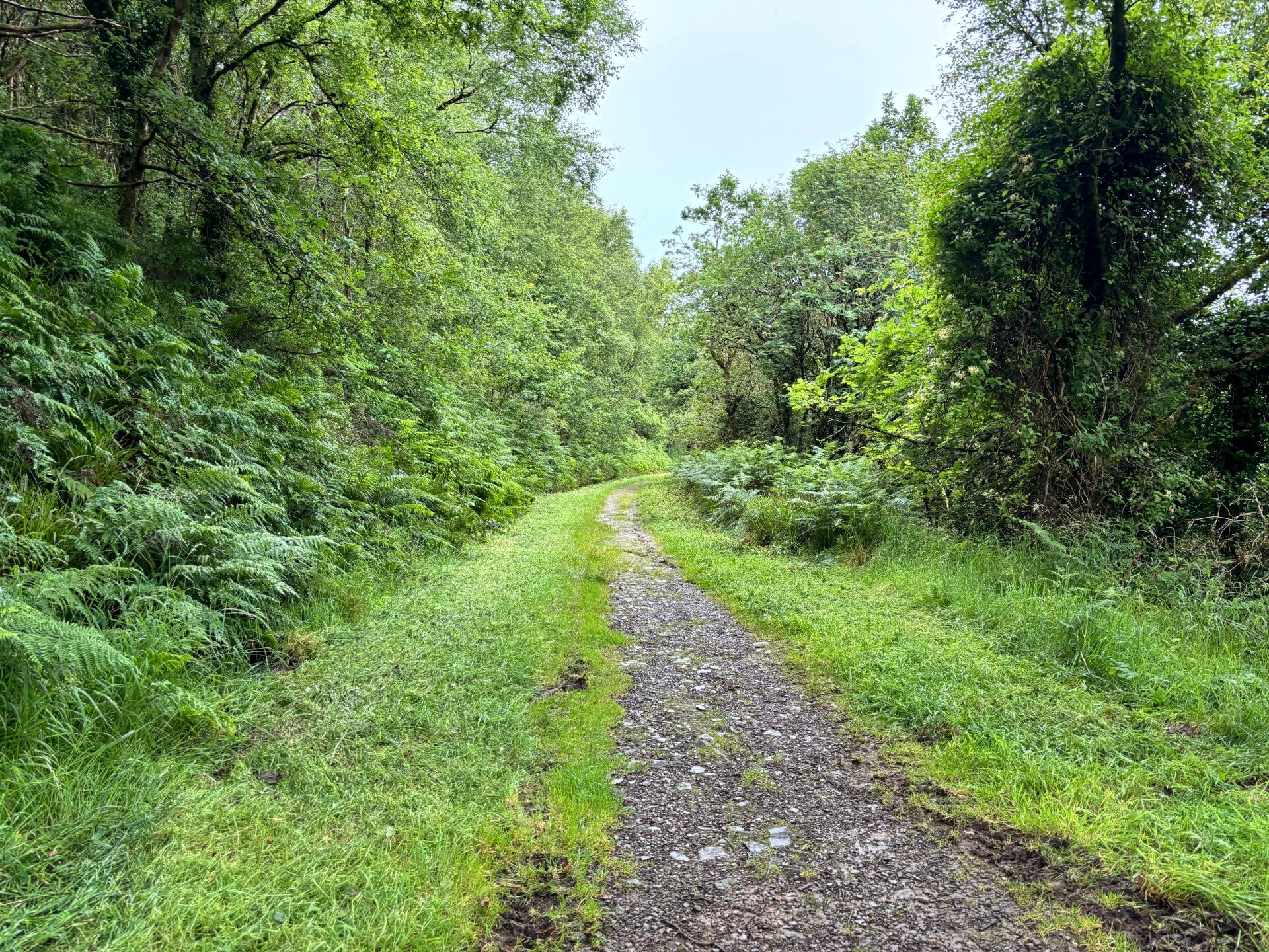 The carriageway from Woody Bay