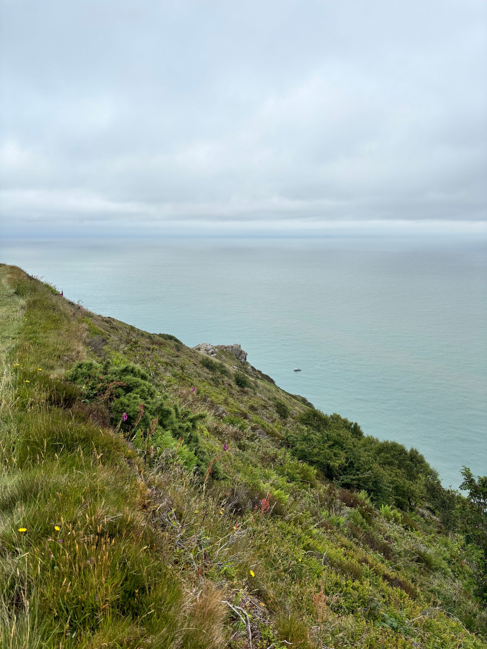 Sea views above Wringapeak