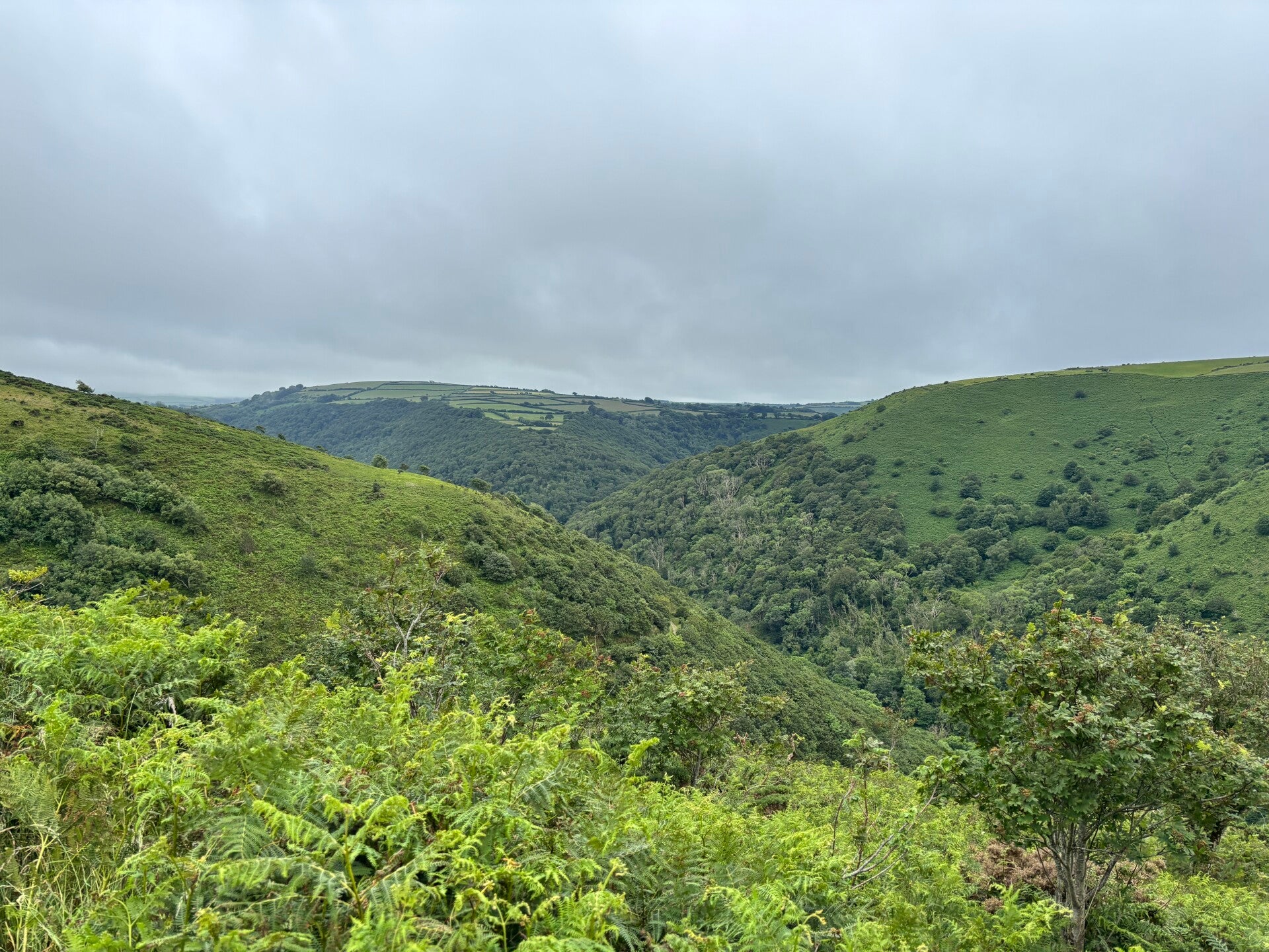 Heddon Valley from the carriageway