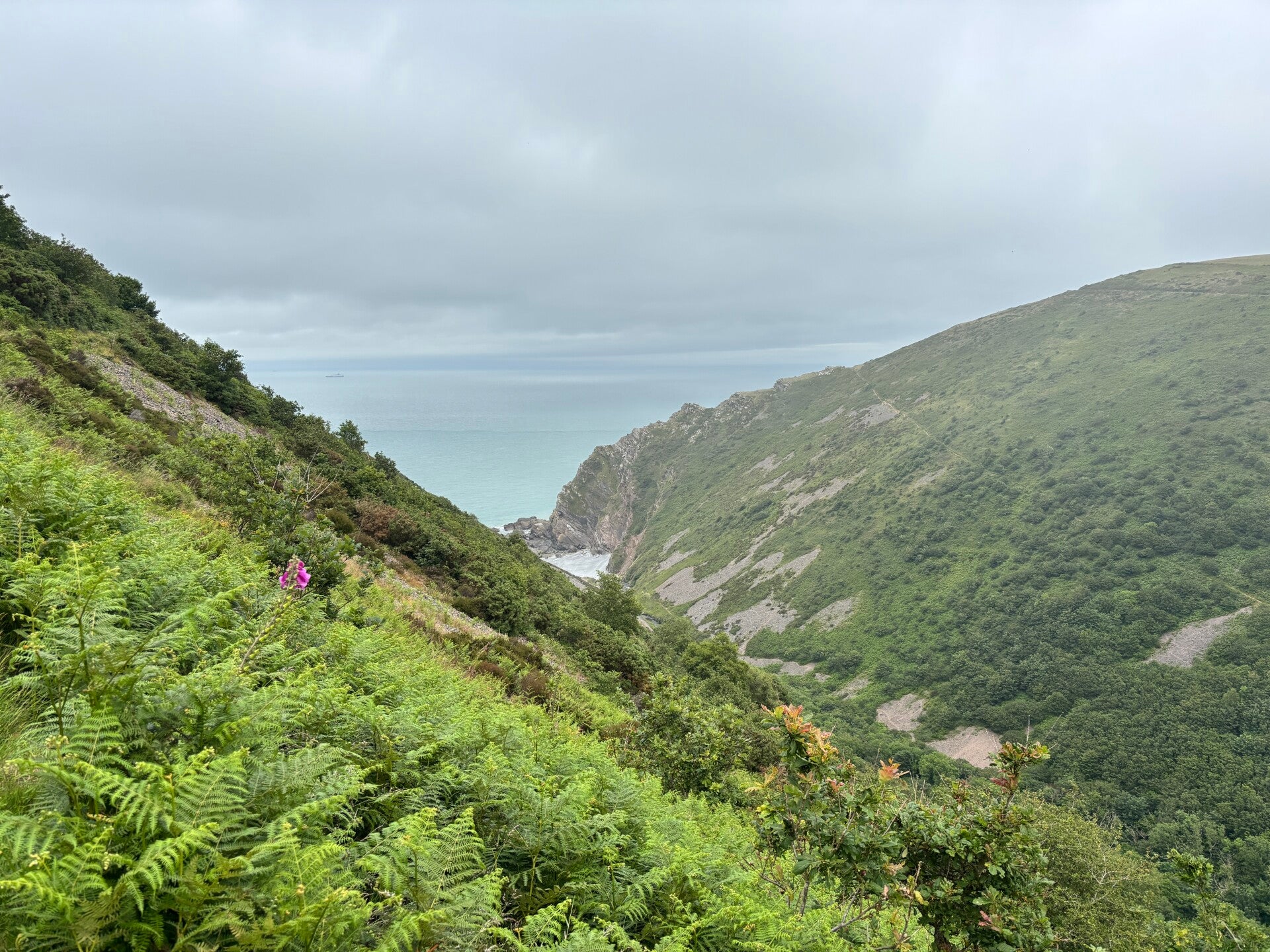 Ascending Heddon's Mouth Cleave towards Combe Martin