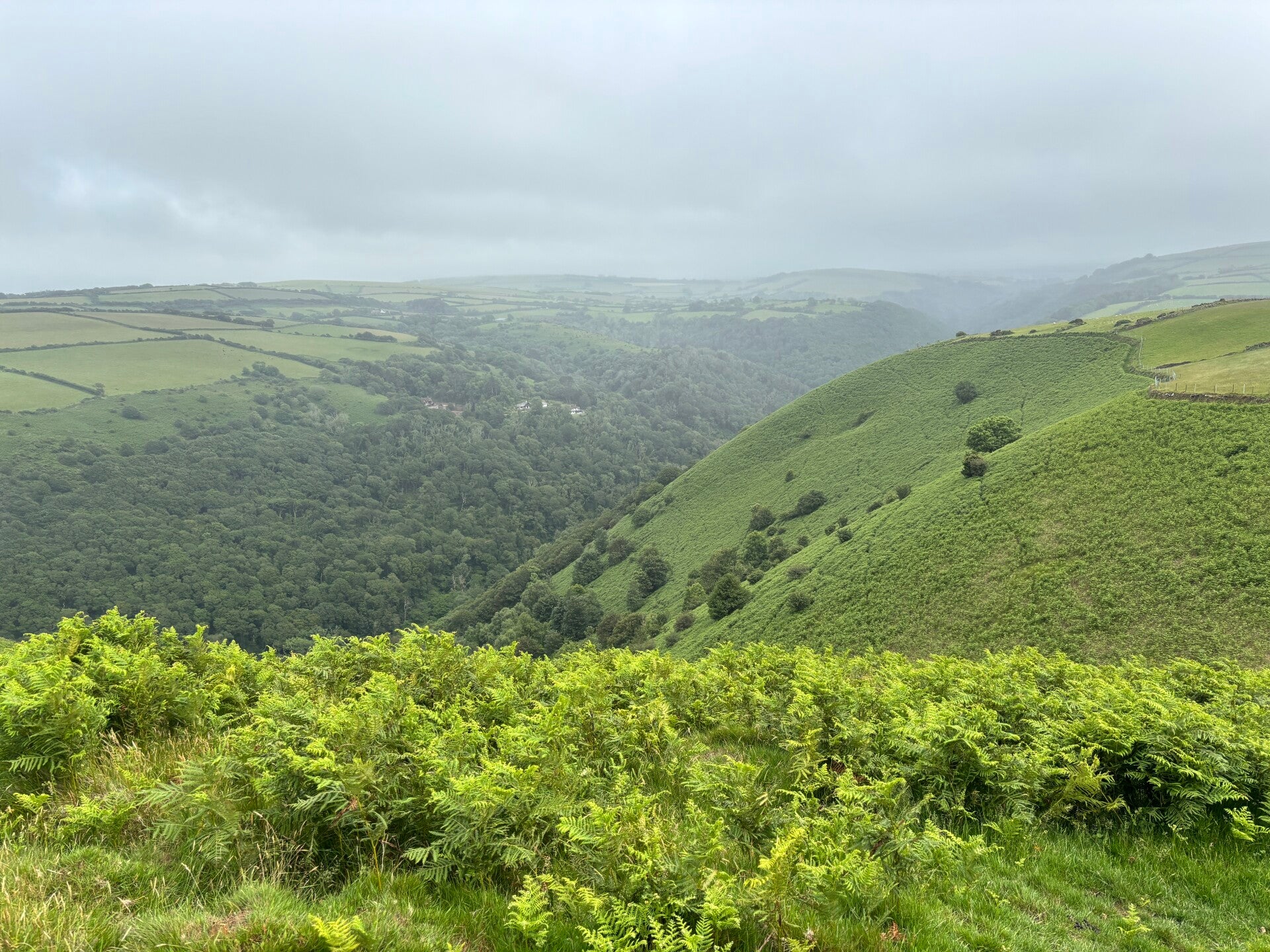 Path to Trentishoe above Heddon Valley