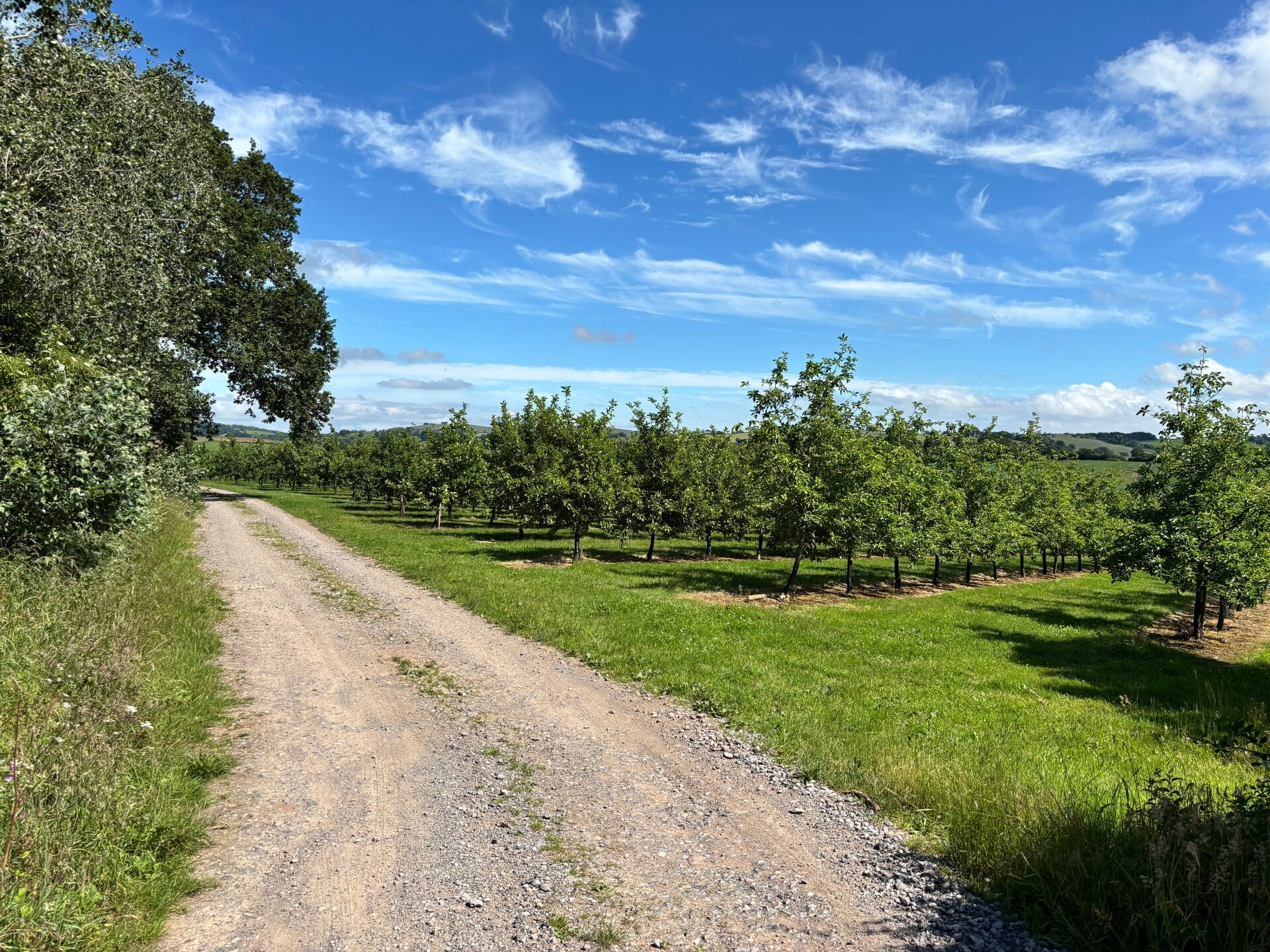 Track through Orchard Lodge-Stockleigh English