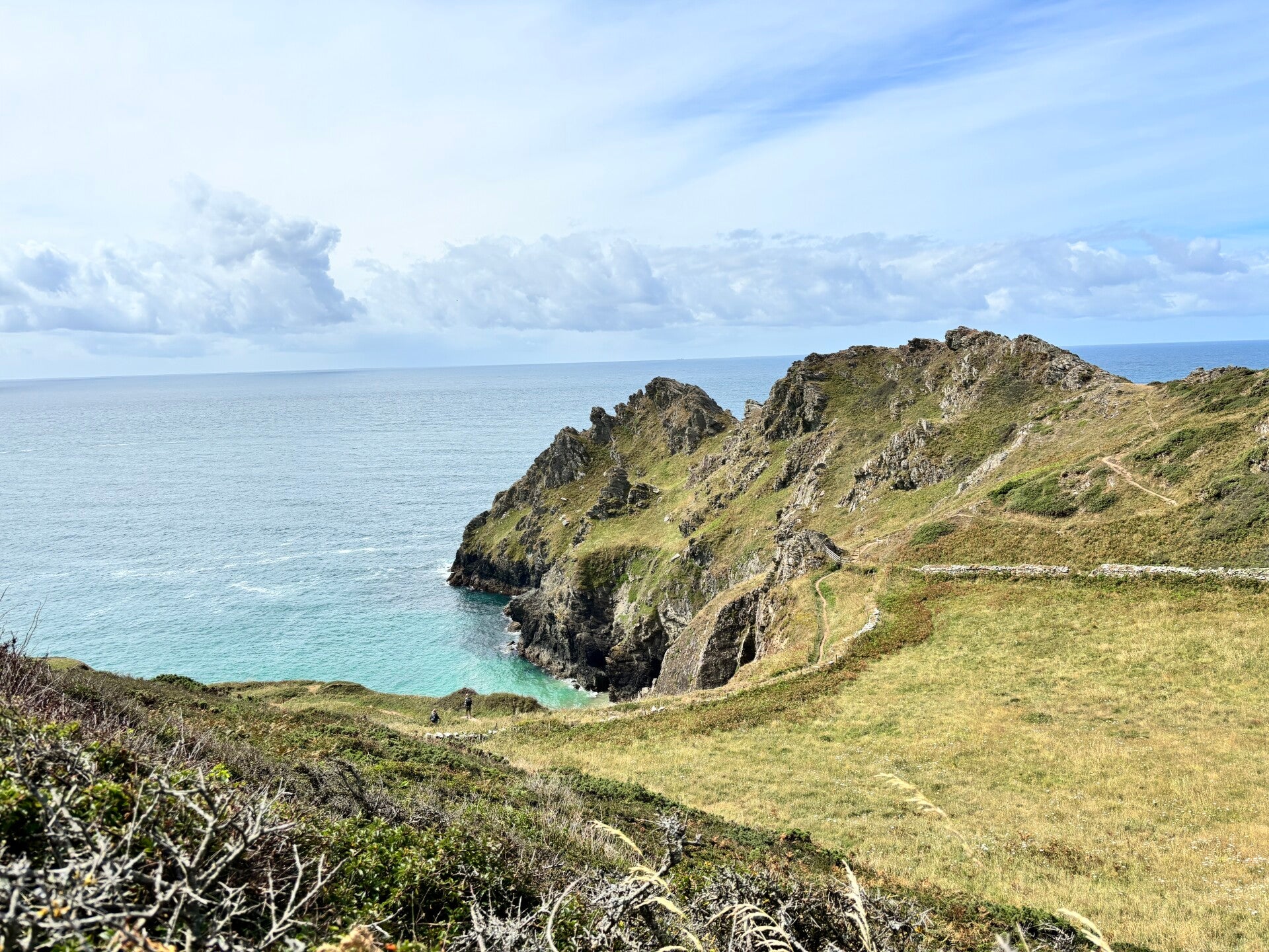 View of Gammon Head-near East Prawle