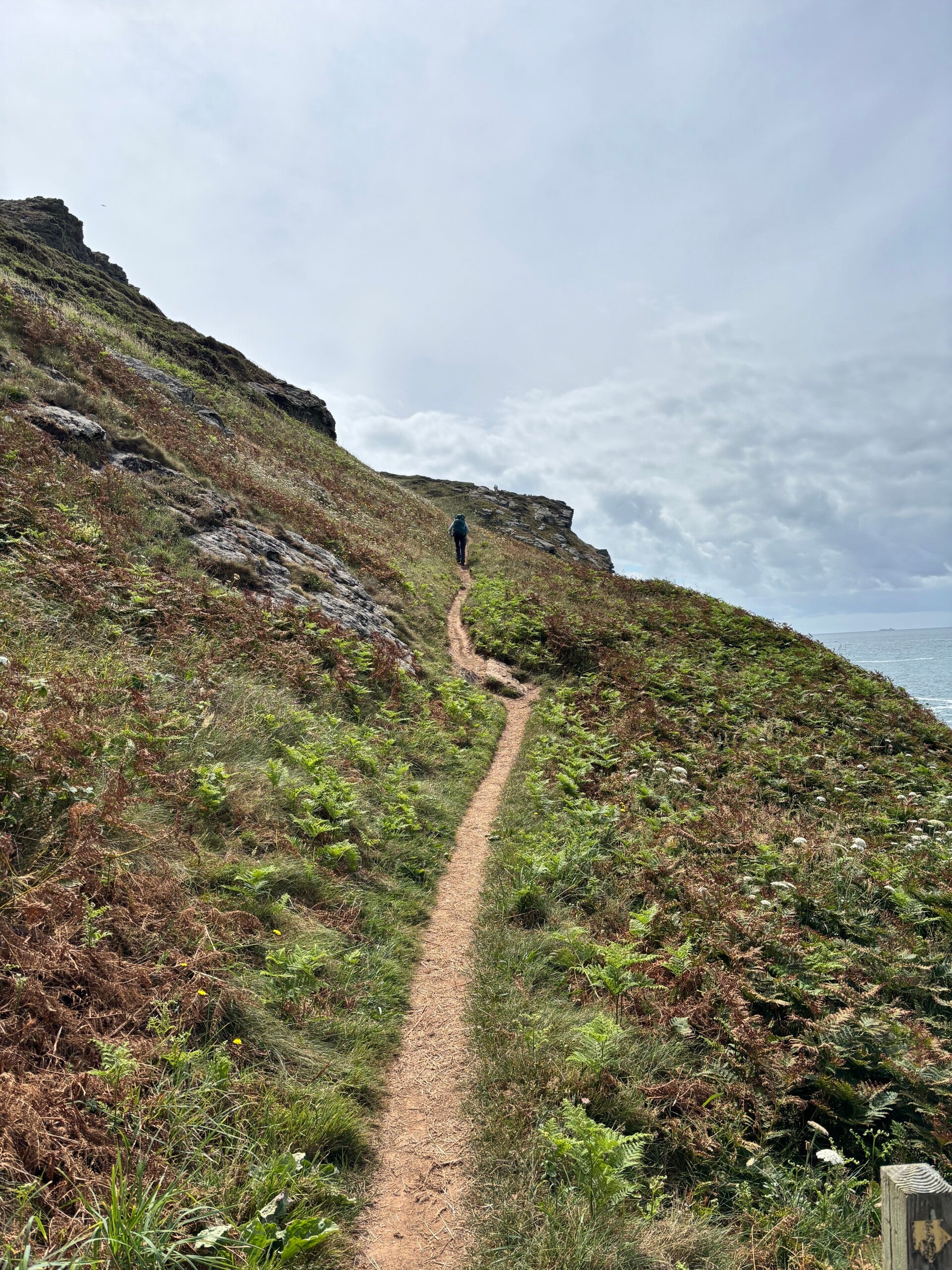 South West Coast Path to Prawle Point