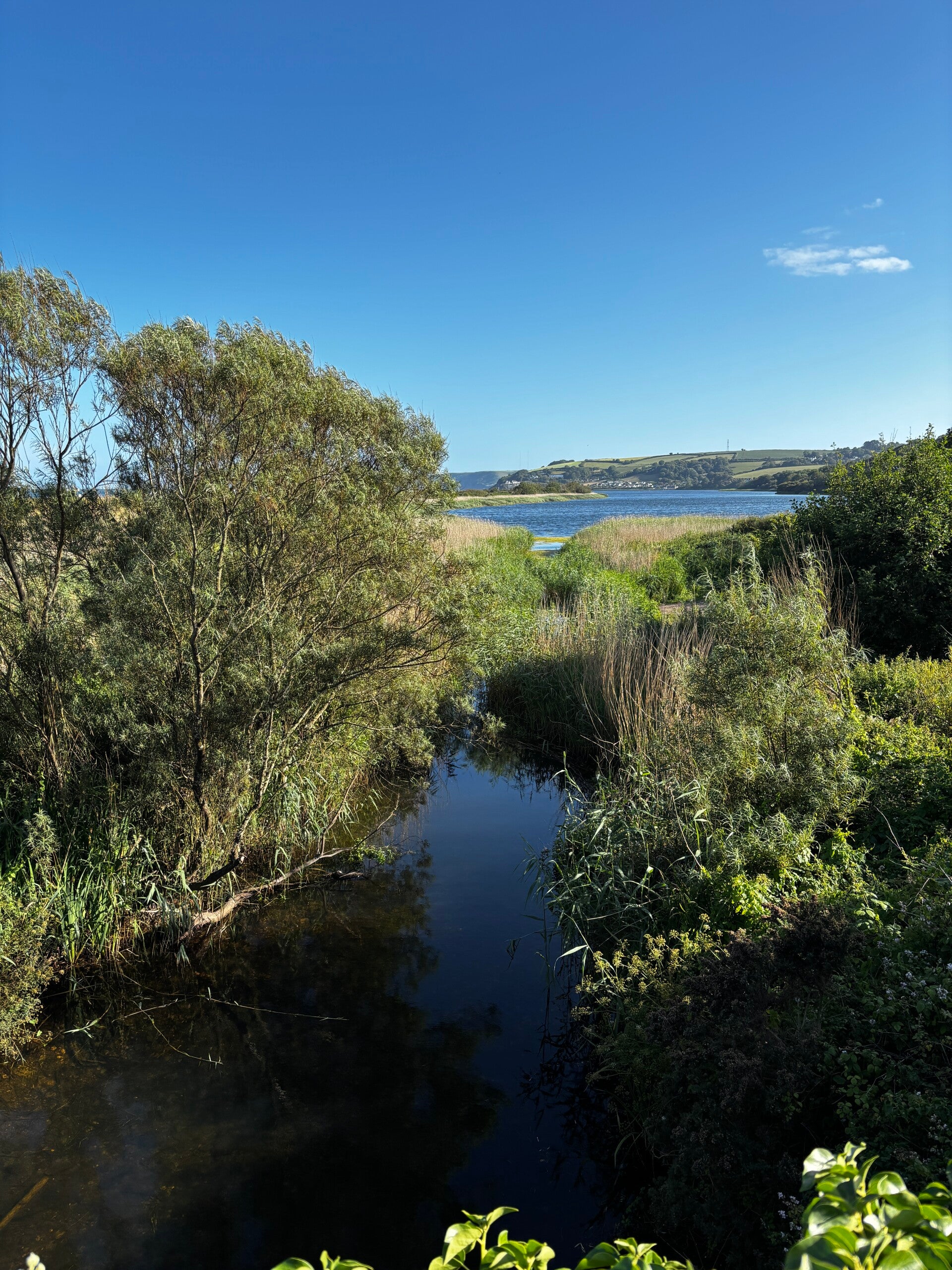 Slapton Ley views from Sandy Road bridge