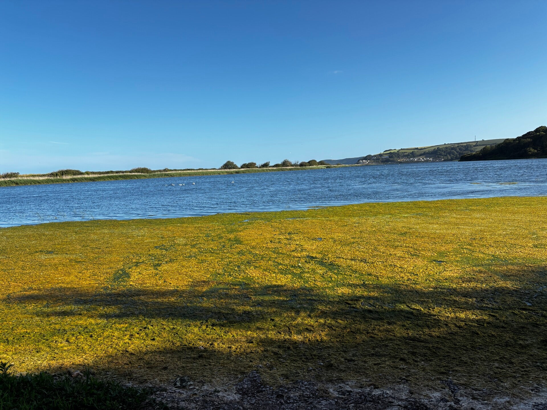 Views over Slapton Ley from the walking trail
