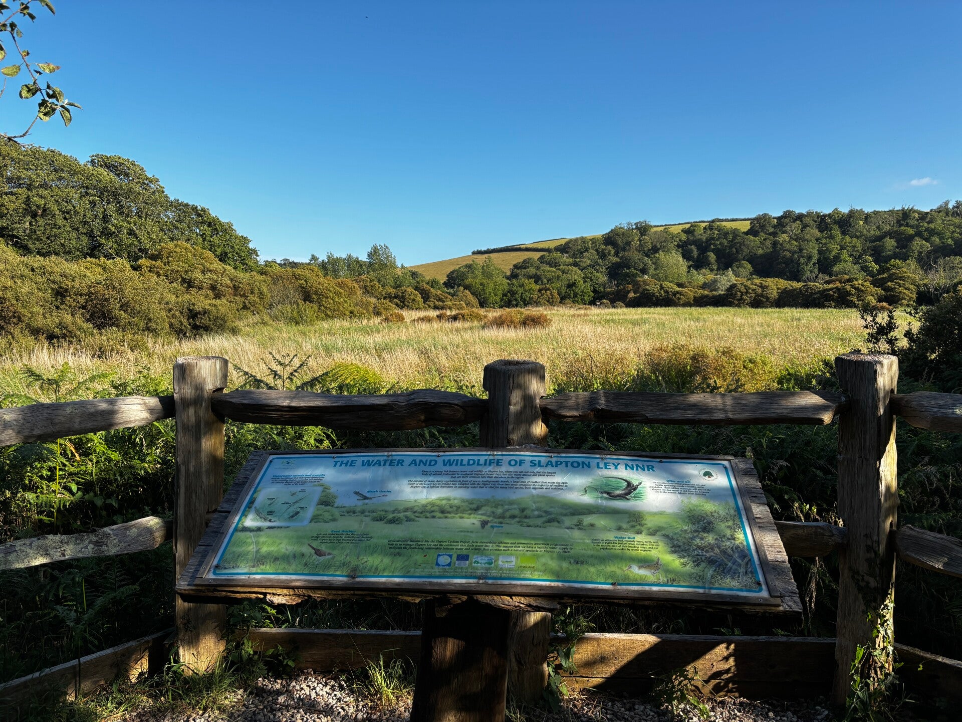 Viewpoint at Slapton Ley