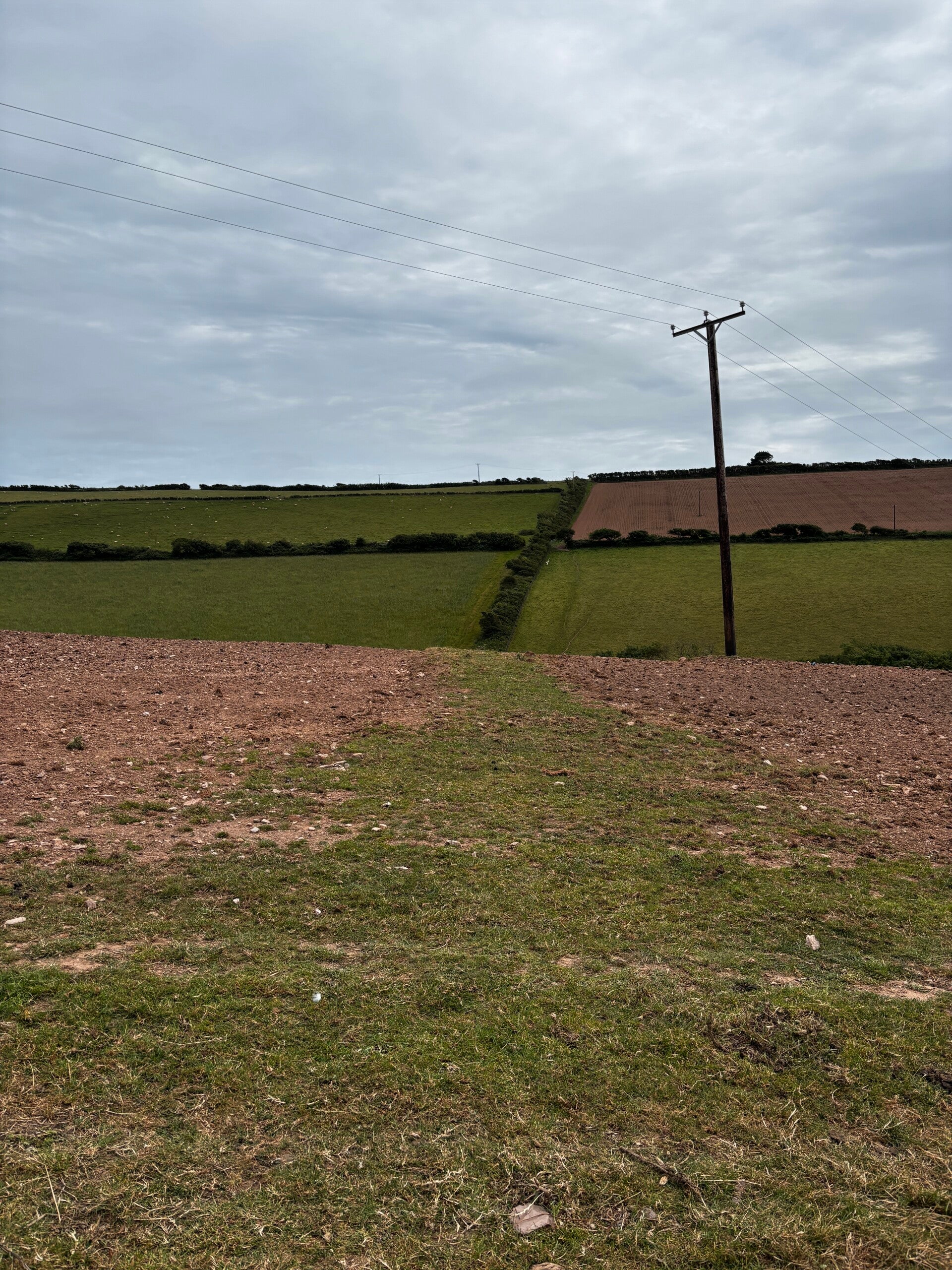 Field path between Bigbury-on-Sea and Ringmore