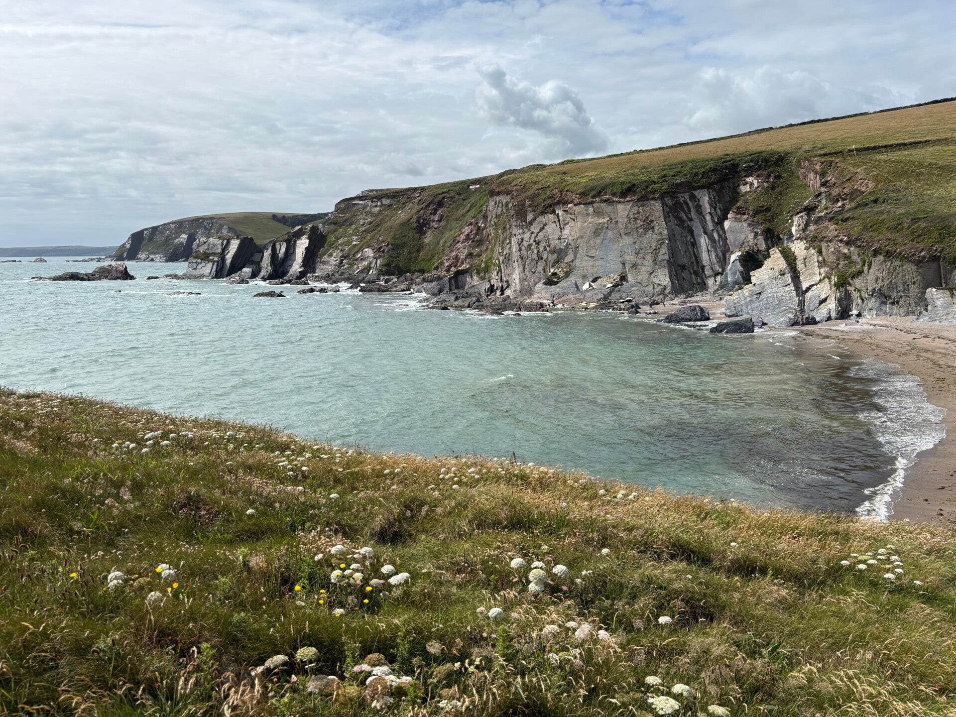 View of Aymer Cove