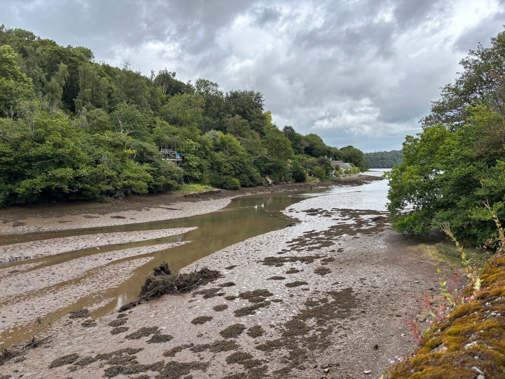 Dittisham Mill Creek at Low Tide_Dittisham