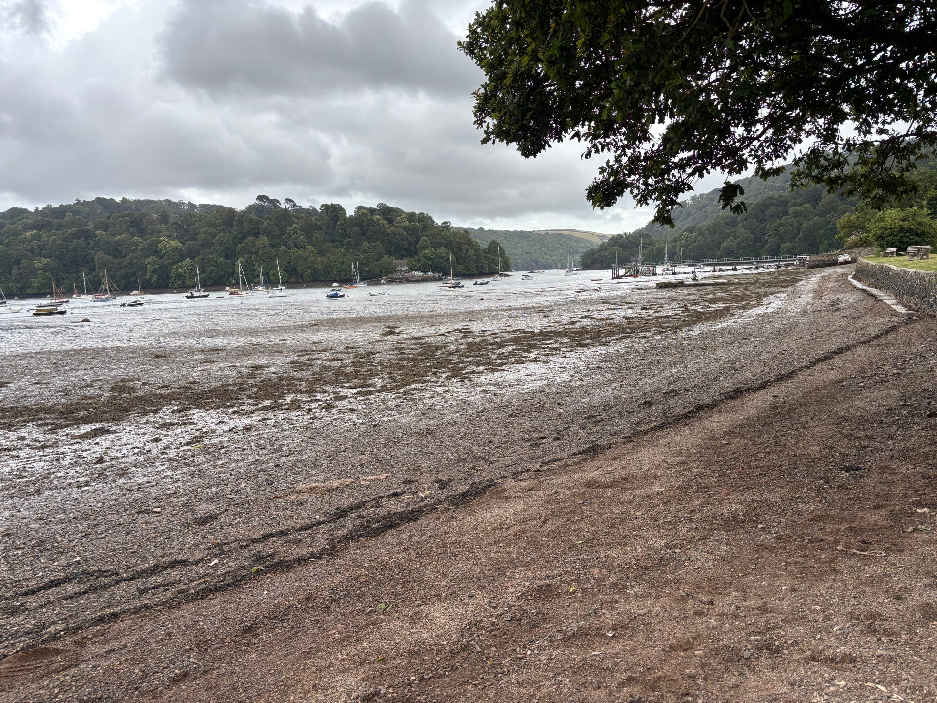 Low tide on River Dart at The Ham_Dittisham
