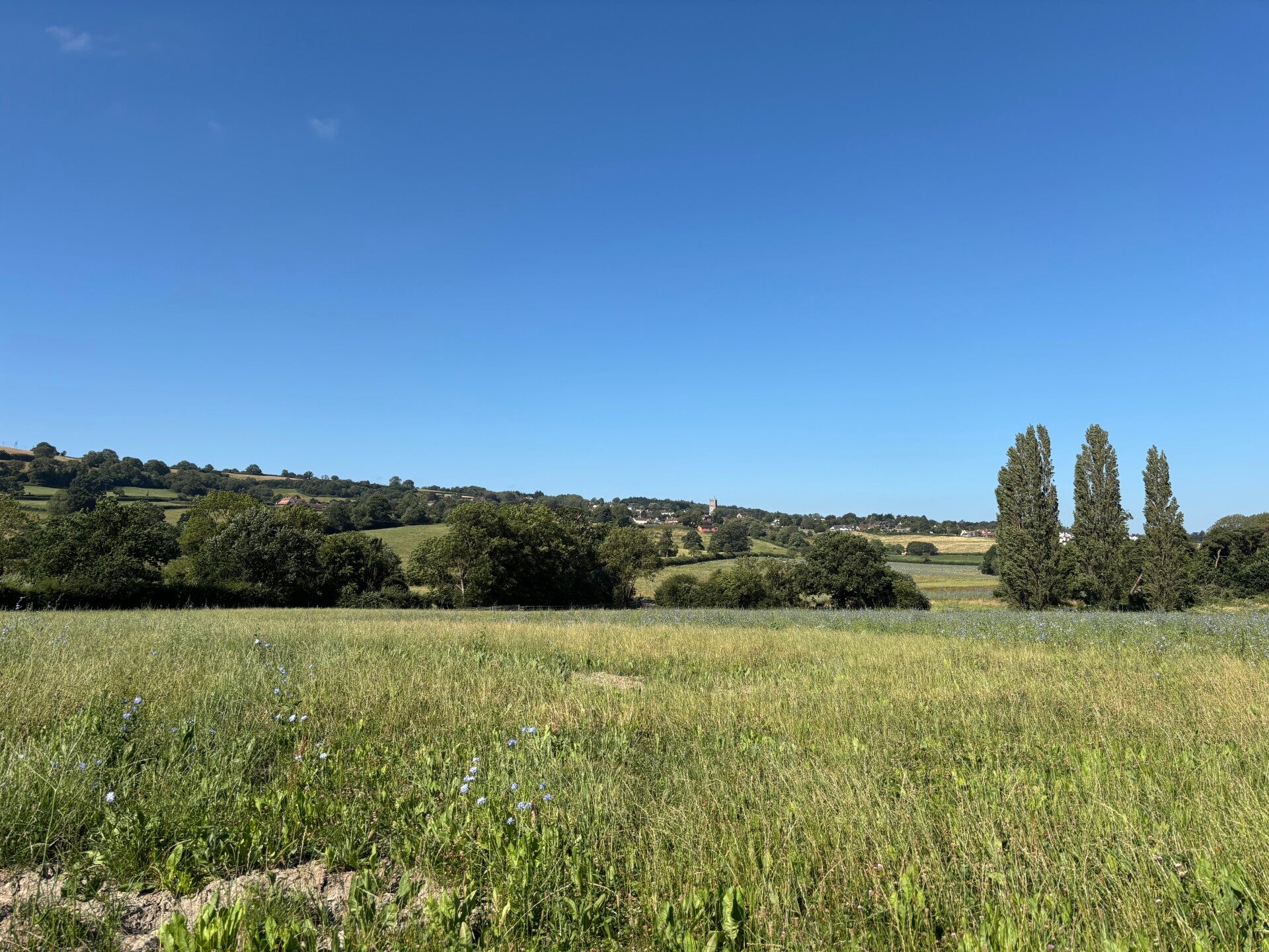 Fields at Blagdon Lake near Holt Farm