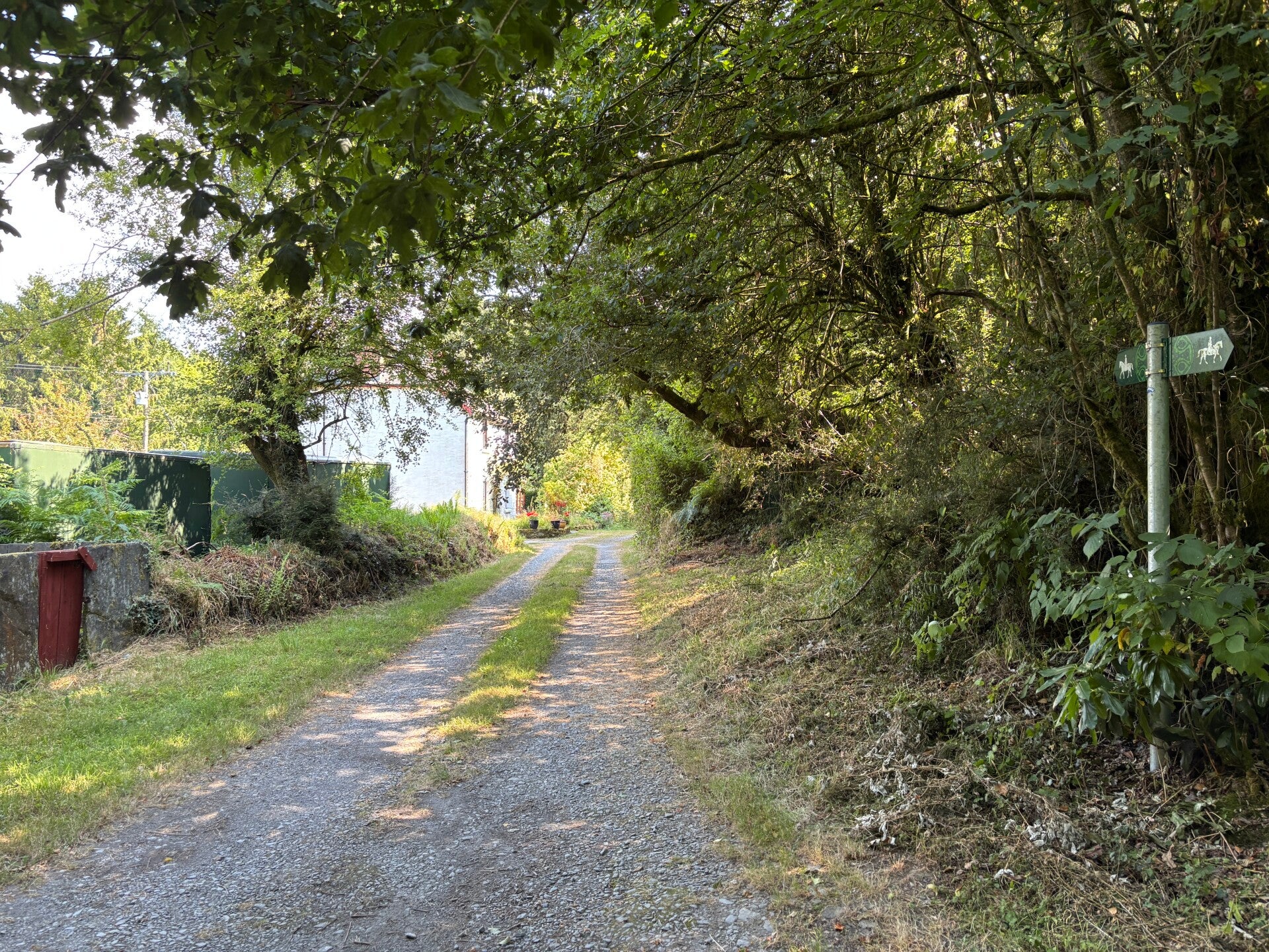 House in Ffynone Woods